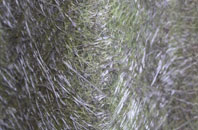 Dunstal fibreglass roof work